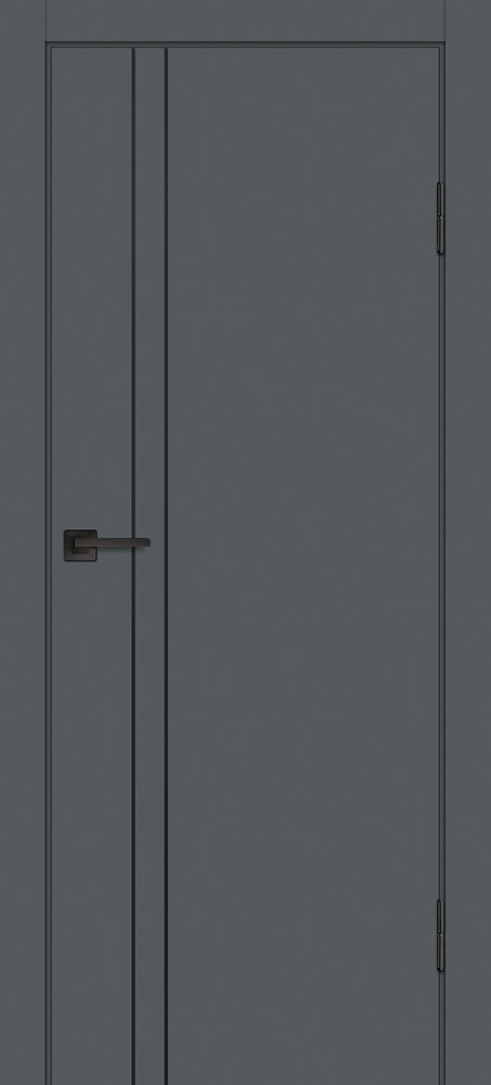 Двери ЭКОШПОН, ПВХ PROFILO PORTE P-20 AL черный молдинг глухое с молдингом Графит размер 190 х 55 см. артикул F0000097880