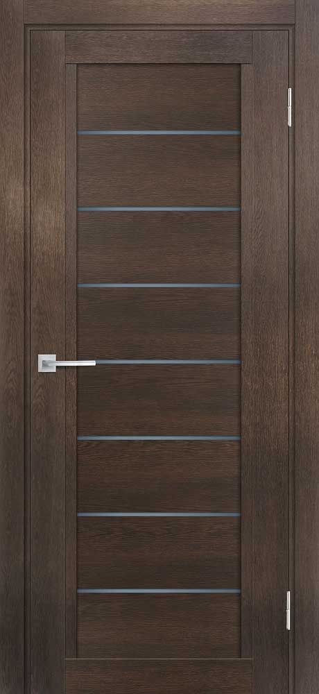 Дверь ТЕХНО-808  /  190 х 55 универсальное 