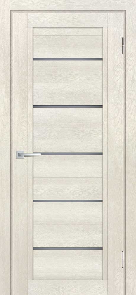 Дверь ТЕХНО-809  /  190 х 55 универсальное 