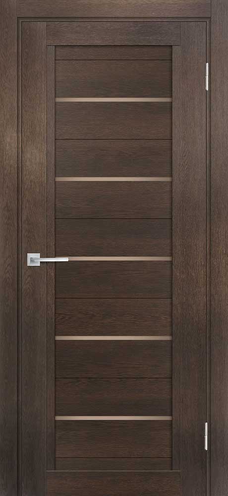 Дверь ТЕХНО-809  /  190 х 55 универсальное 