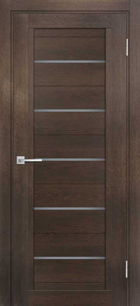 Дверь ТЕХНО-809  /  190 х 55 универсальное 