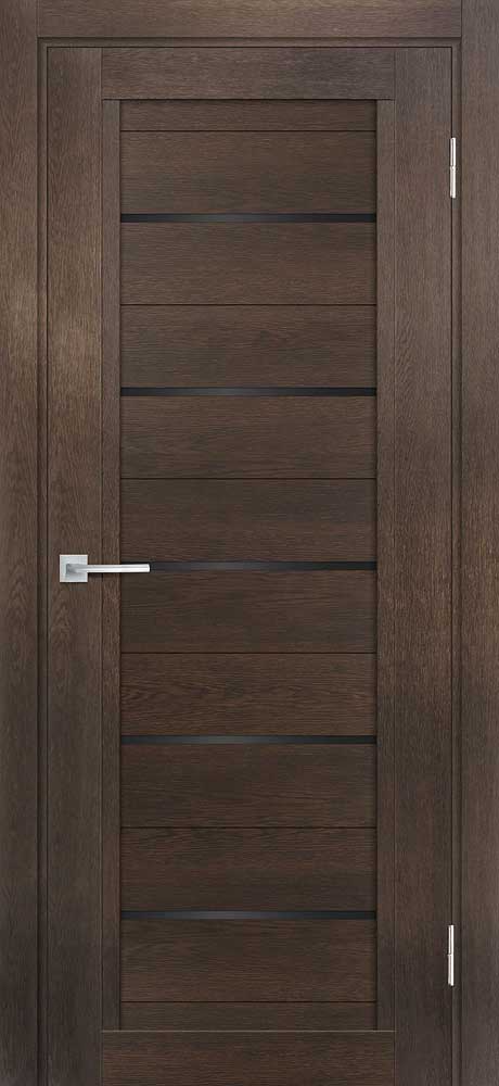 Дверь ТЕХНО-809  /  190 х 55 универсальное 